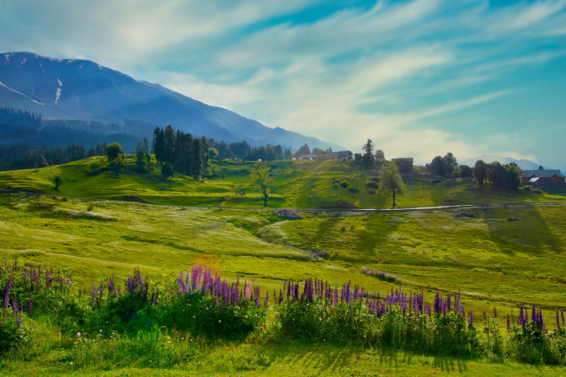 Green Gulmarg meadow with mountain backdrop