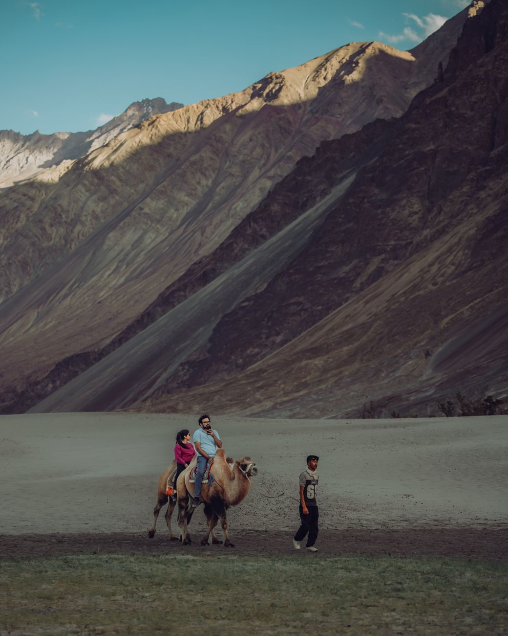 Nubra Valley cold desert with camels and mountains