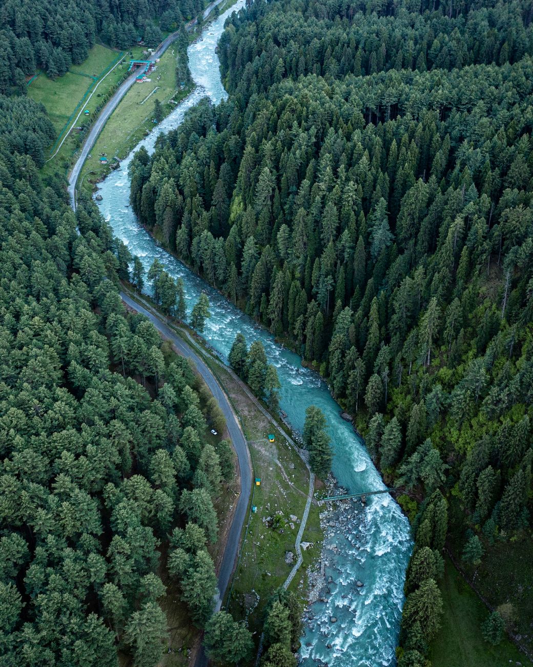 Lidder River flowing through pine forest in Pahalgam