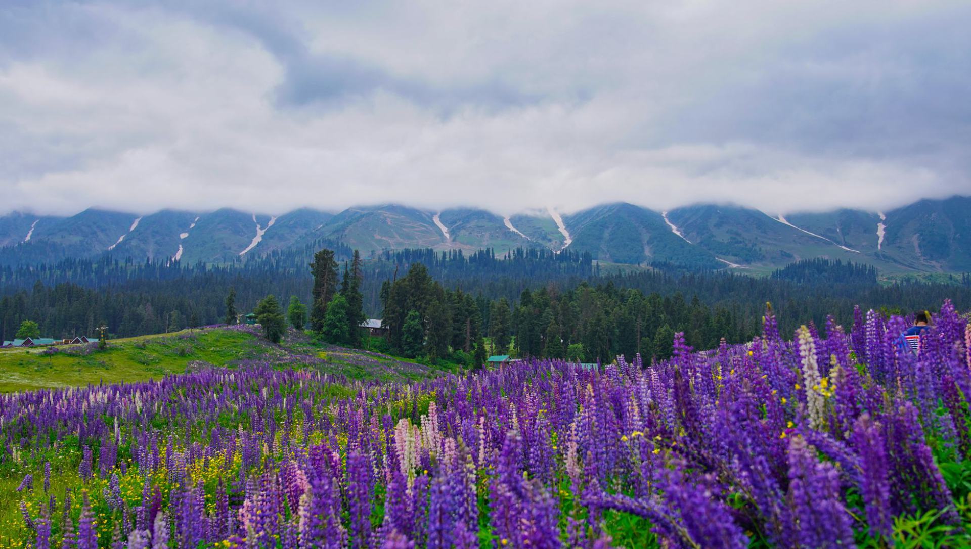 Mountain moments,