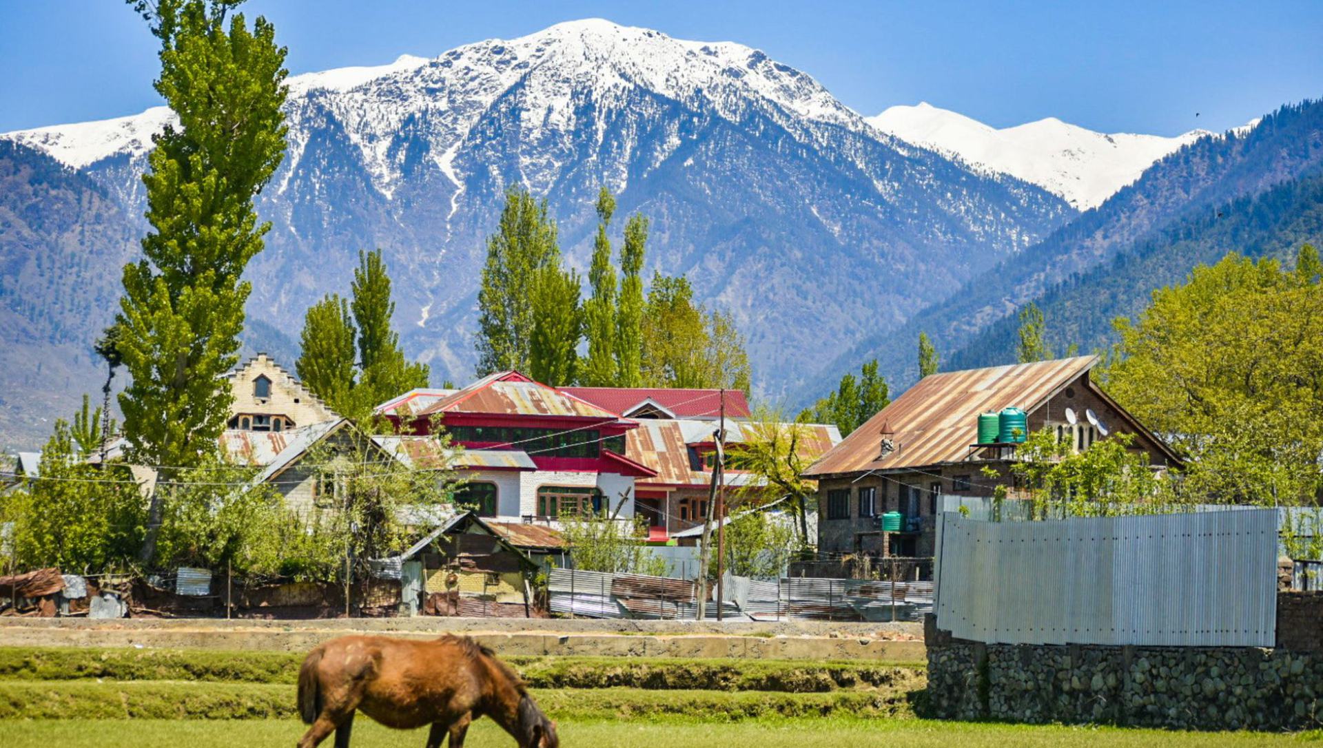 Kashmir Meadows & Lakes Value Tour